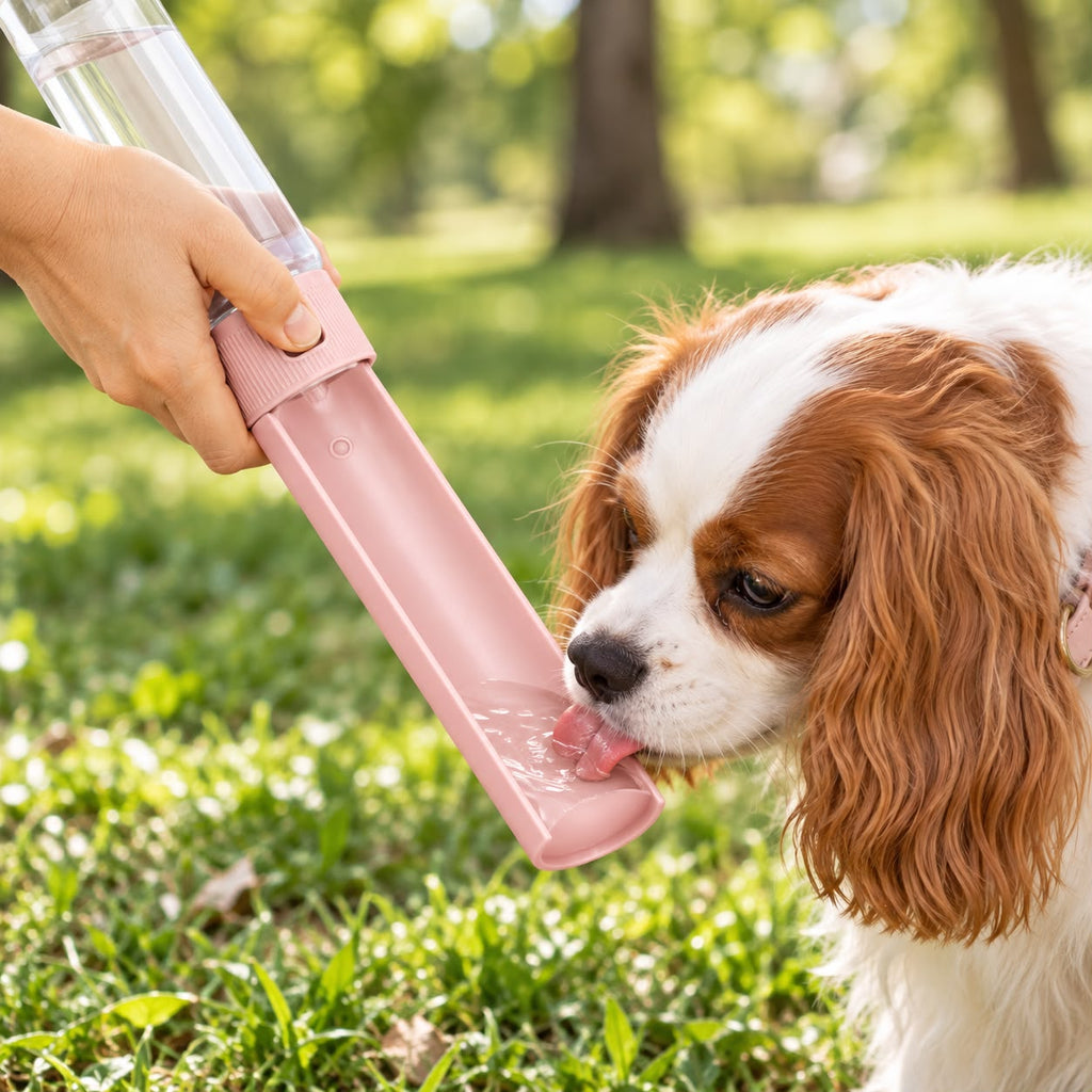 MALUA PetGo Borraccia per Cani portatile con porta crocchette